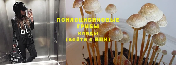 2c-b Лагань