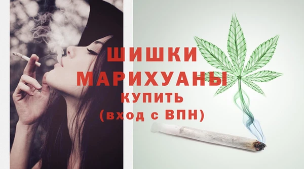 винт Лабытнанги