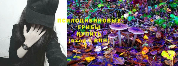 jwh Ладушкин
