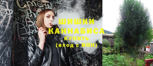 2c-b Лагань