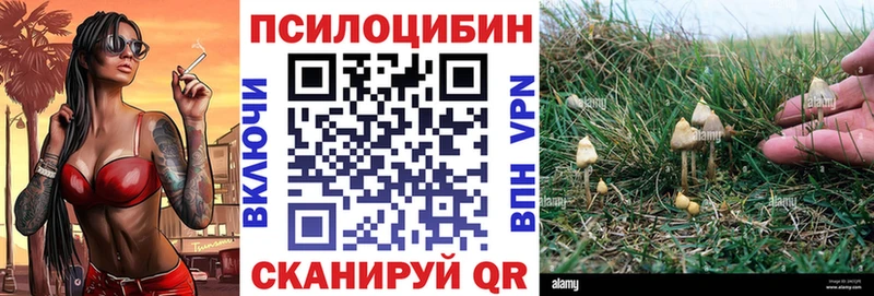 Галлюциногенные грибы мухоморы  Купить где  Южноуральск 